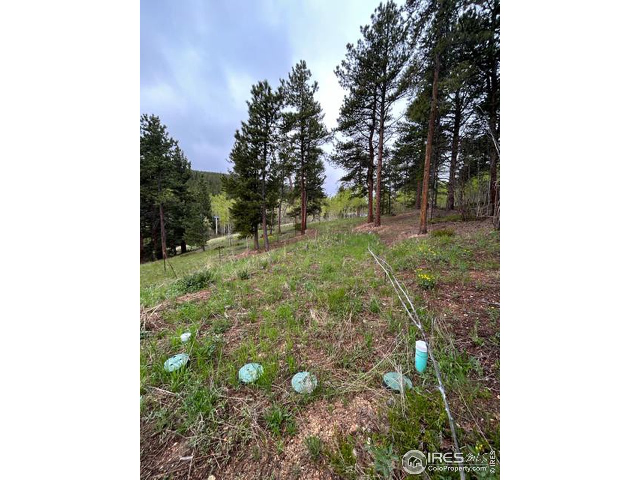 0 Upper Travis Gulch Road Black Hawk, CO 80422 - Photo 11 of 23 Gallery Image 11