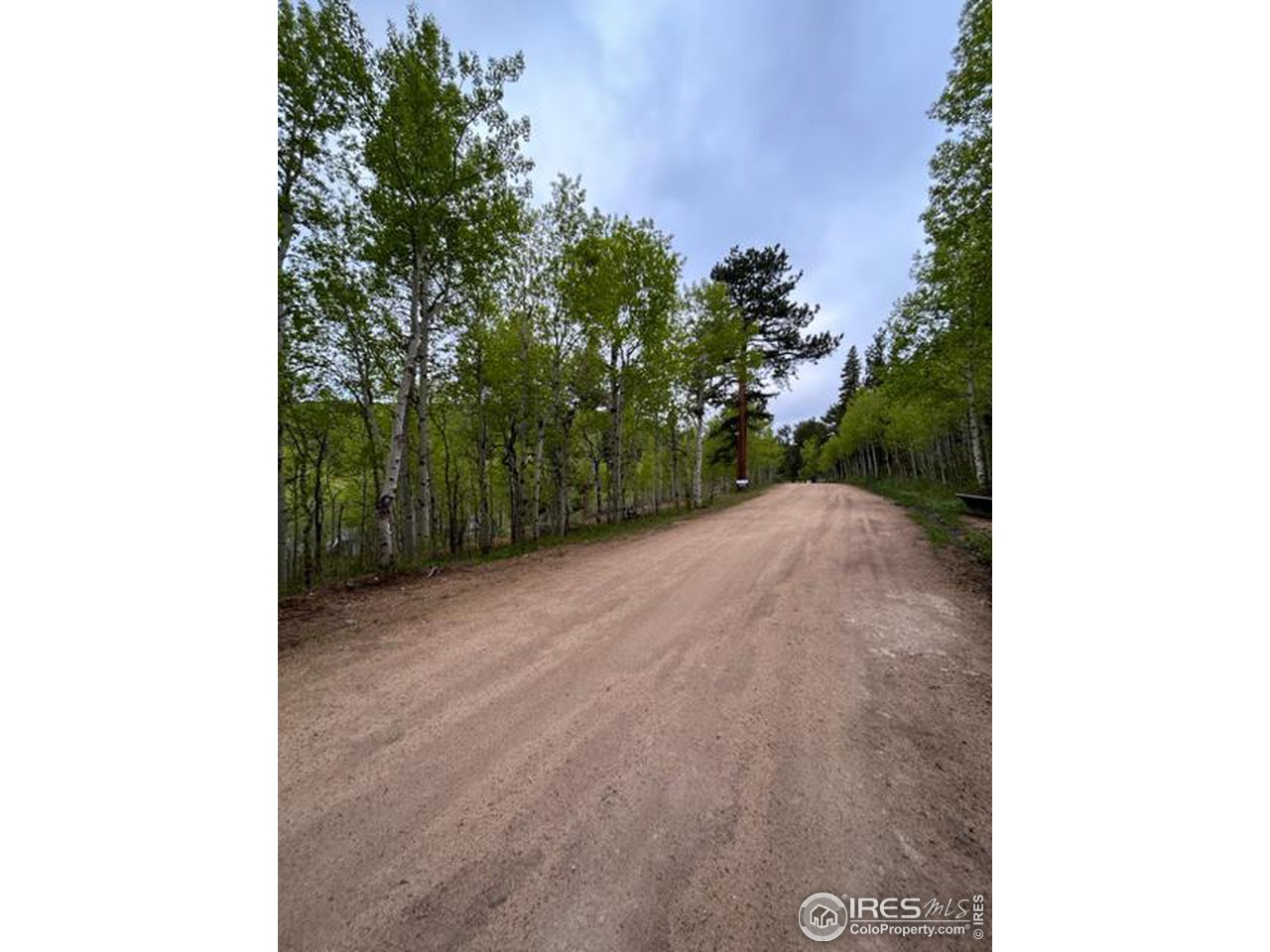 0 Upper Travis Gulch Road Black Hawk, CO 80422 - Photo 12 of 23 Gallery Image 12