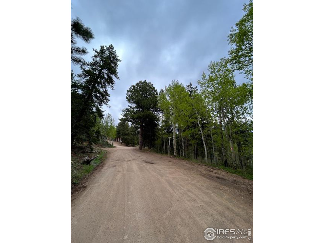 0 Upper Travis Gulch Road Black Hawk, CO 80422 - Photo 13 of 23 Gallery Image 13