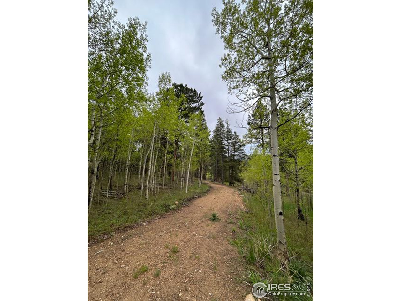 0 Upper Travis Gulch Road Black Hawk, CO 80422 - Photo 14 of 23 Gallery Image 14