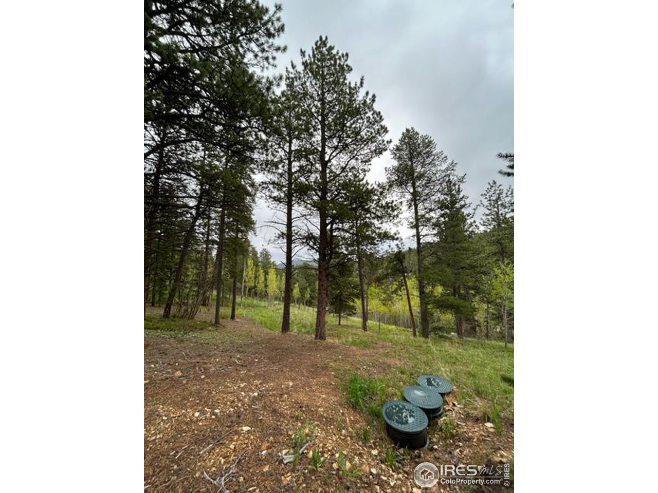 0 Upper Travis Gulch Road Black Hawk, CO 80422 - Photo 15 of 23 Gallery Image 15