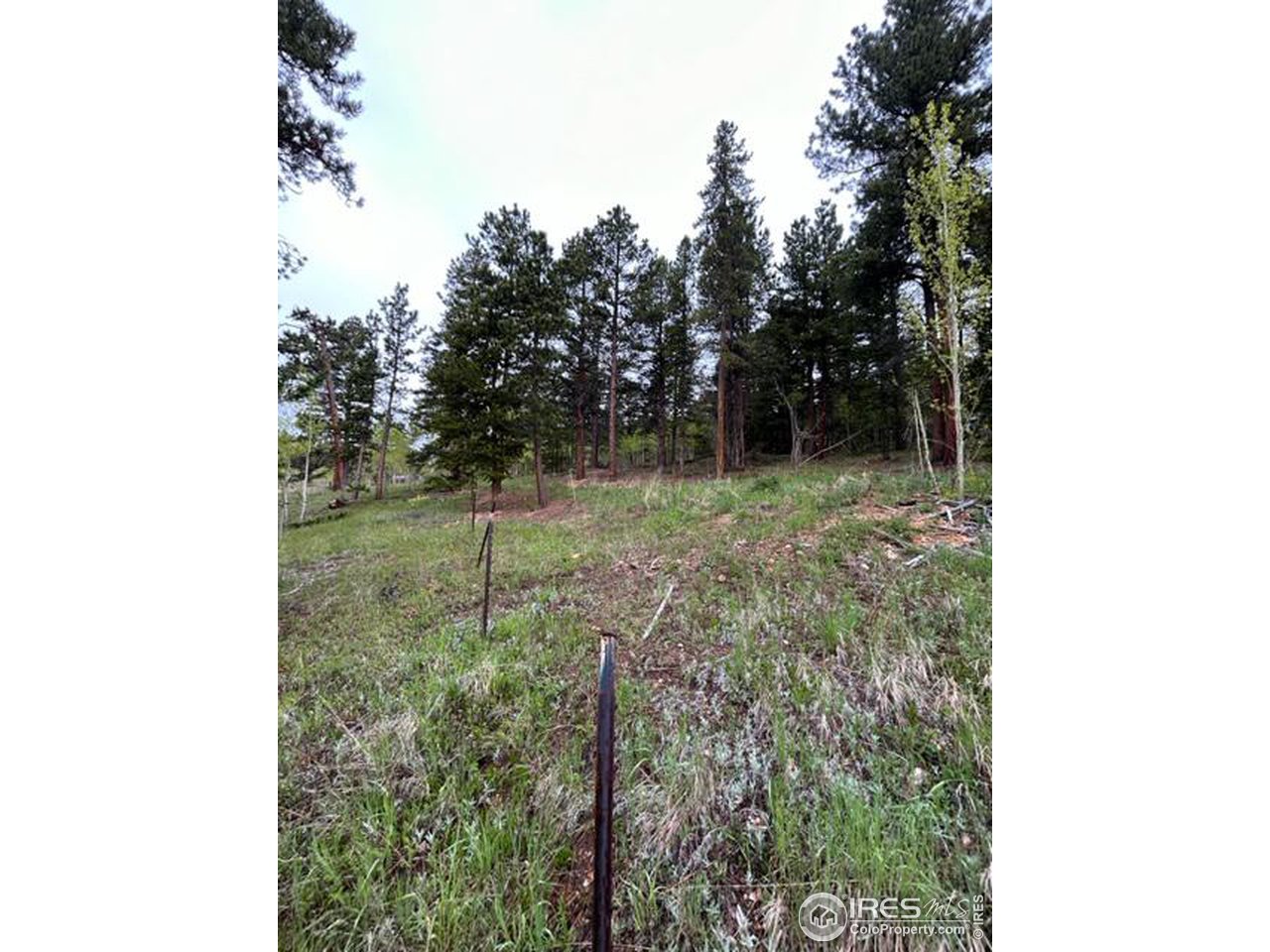 0 Upper Travis Gulch Road Black Hawk, CO 80422 - Photo 16 of 23 Gallery Image 16