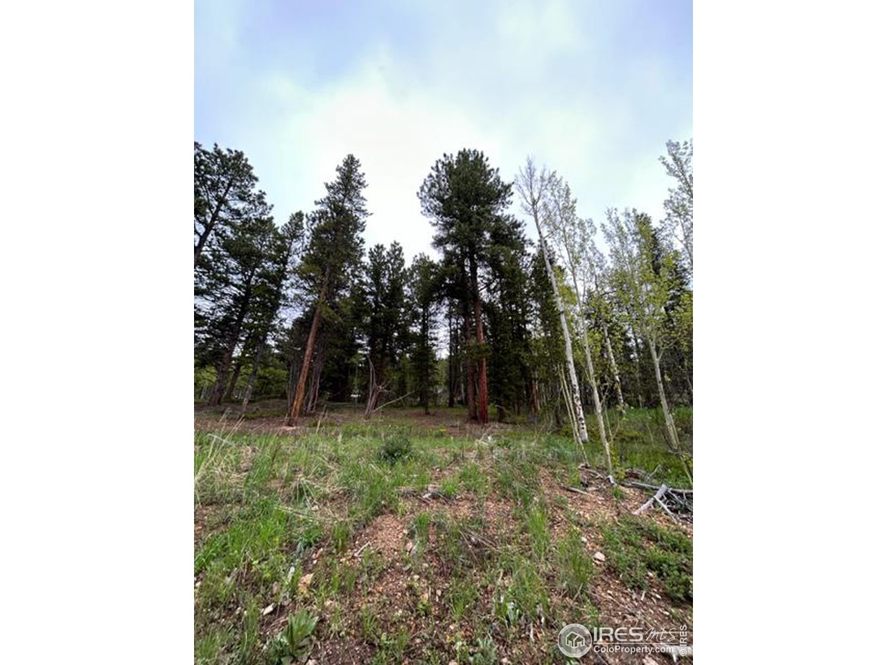 0 Upper Travis Gulch Road Black Hawk, CO 80422 - Photo 17 of 23 Gallery Image 17