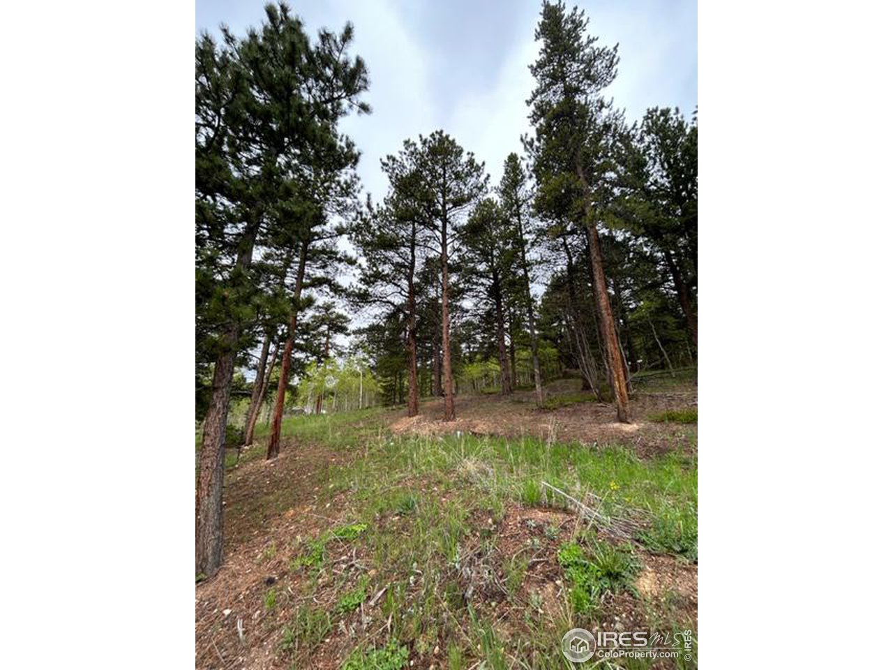 0 Upper Travis Gulch Road Black Hawk, CO 80422 - Photo 19 of 23 Gallery Image 19