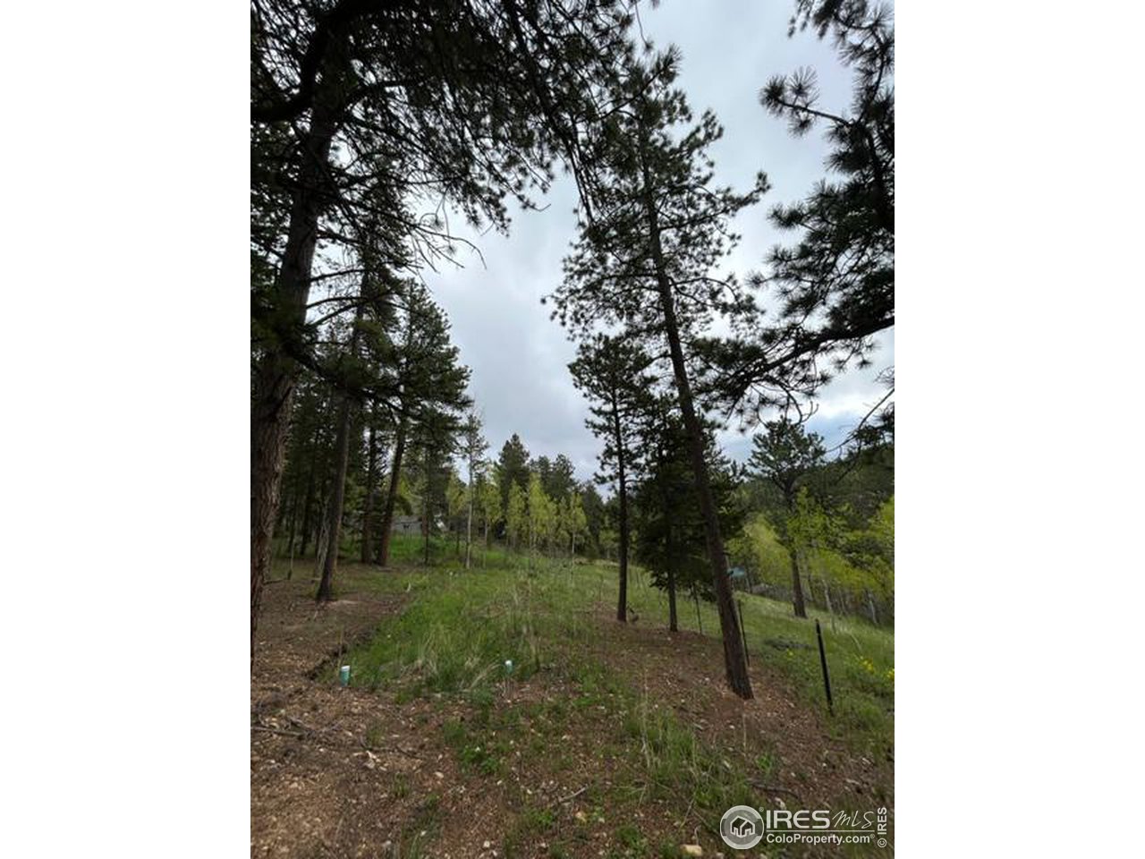 0 Upper Travis Gulch Road Black Hawk, CO 80422 - Photo 20 of 23 Gallery Image 20