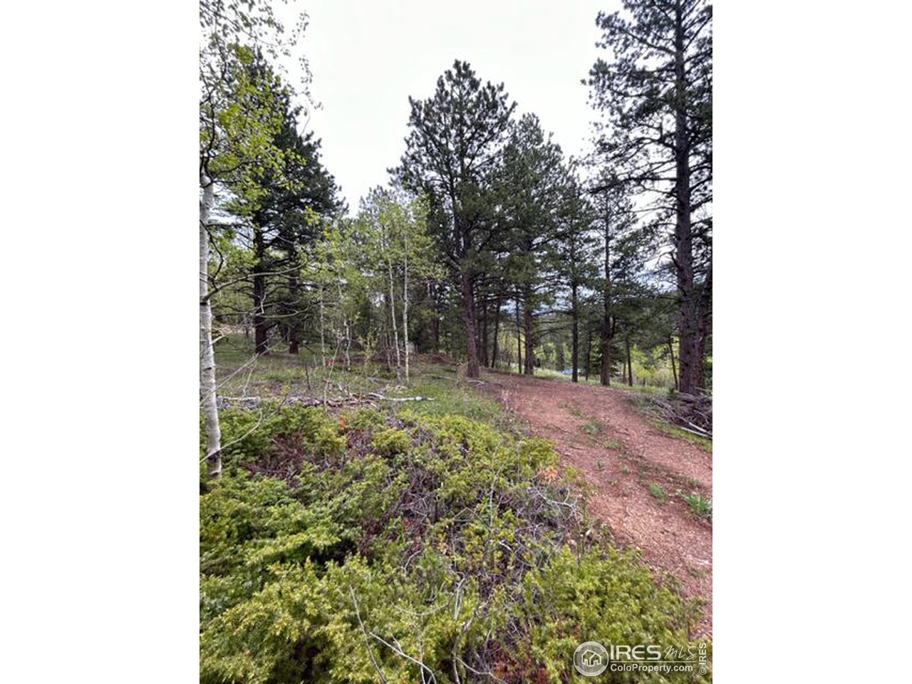 0 Upper Travis Gulch Road Black Hawk, CO 80422 - Photo 21 of 23 Gallery Image 21