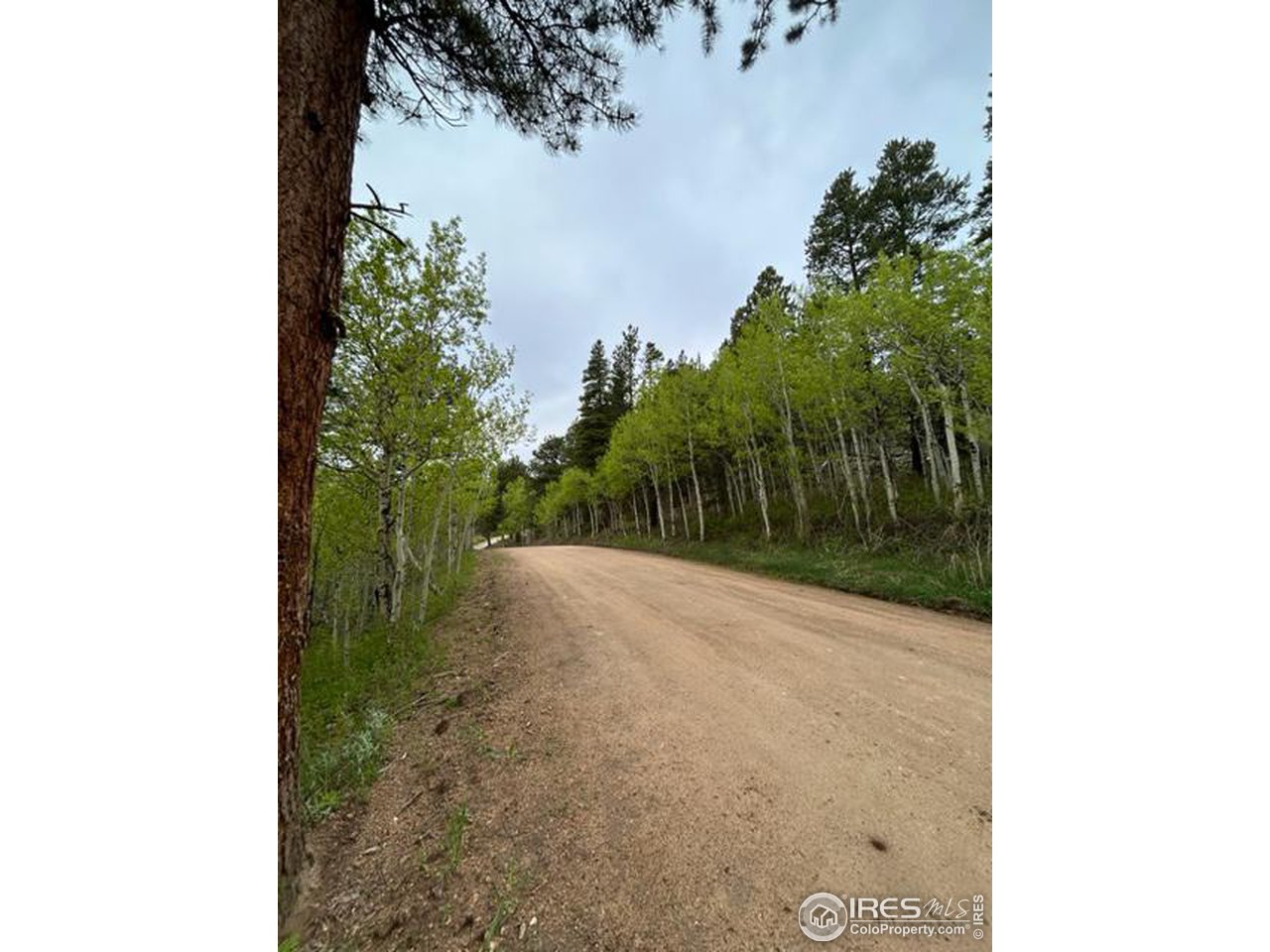 0 Upper Travis Gulch Road Black Hawk, CO 80422 - Photo 22 of 23 Gallery Image 22