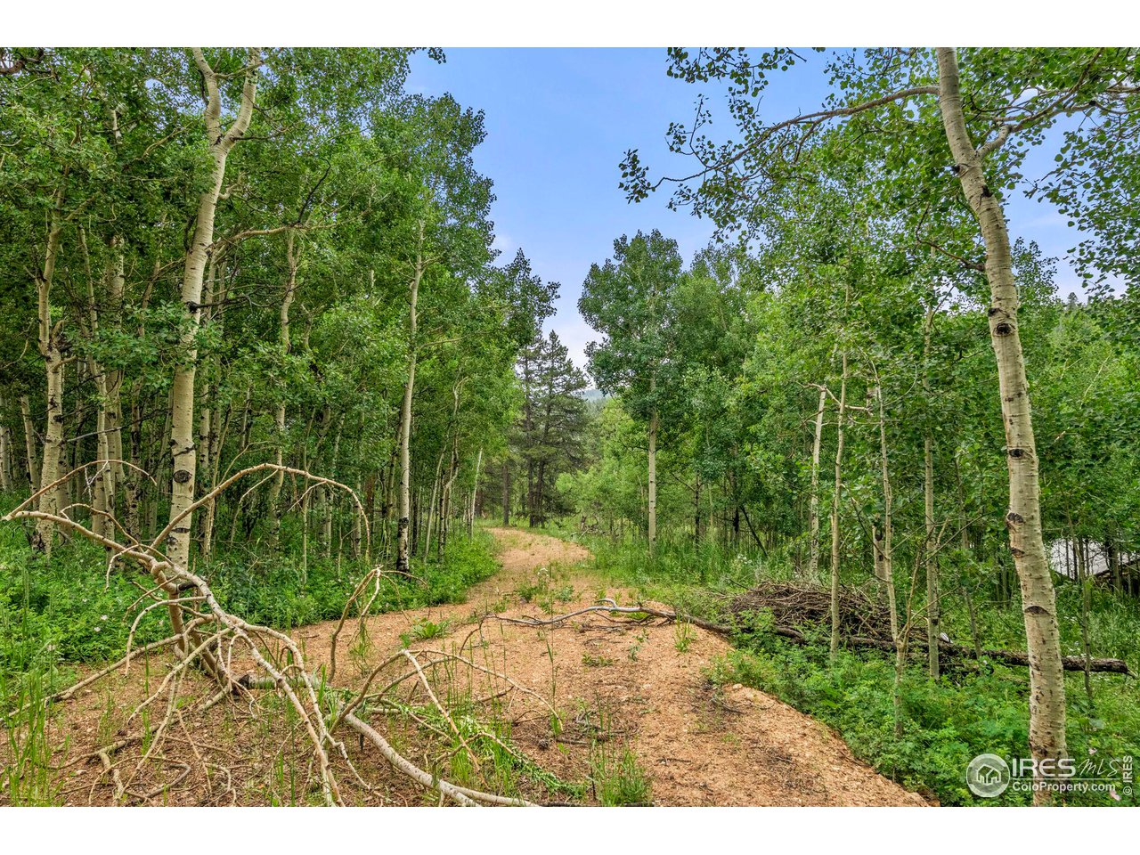 0 Upper Travis Gulch Road Black Hawk, CO 80422 - Photo 3 of 23 Gallery Image 3
