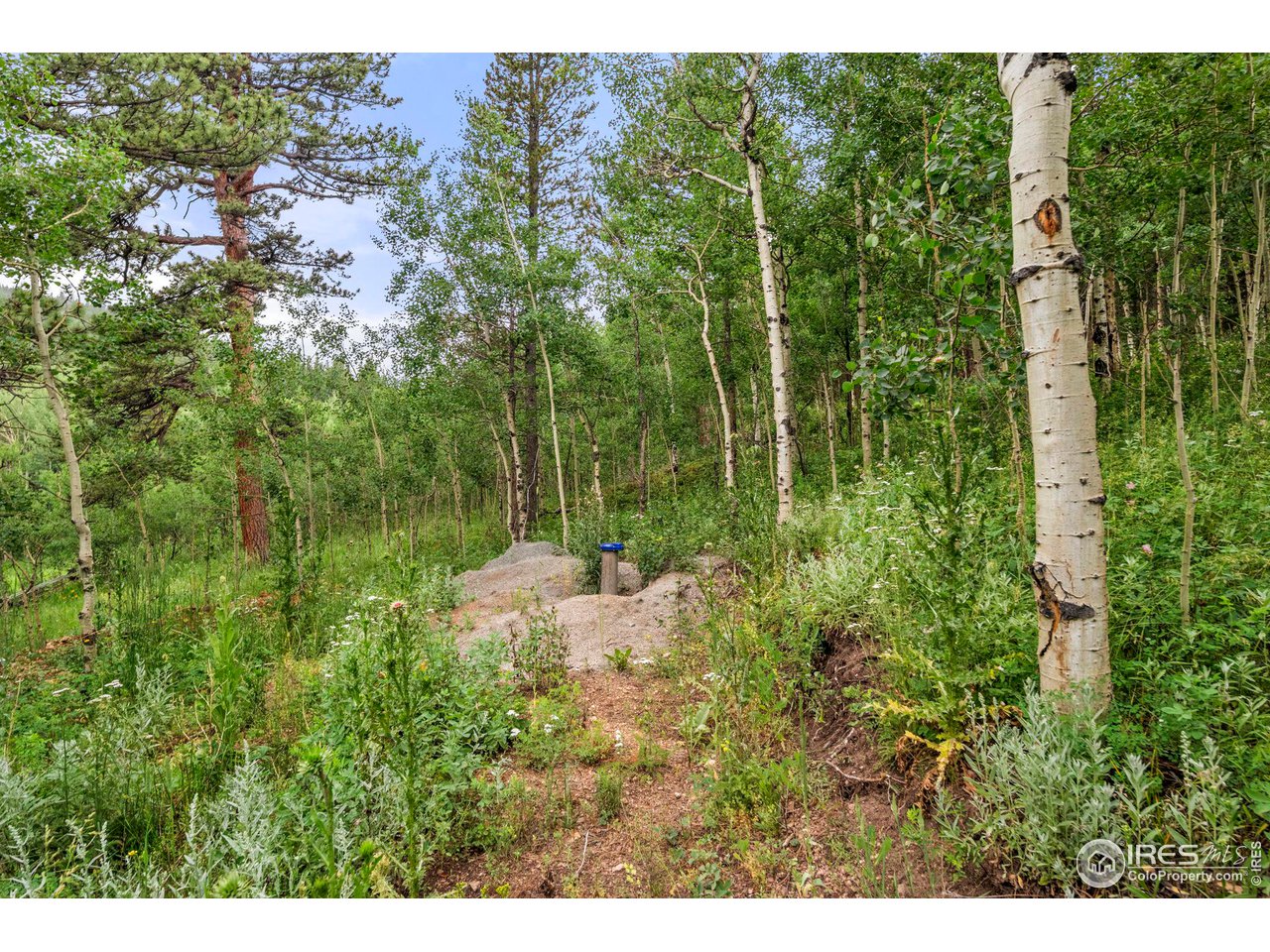 0 Upper Travis Gulch Road Black Hawk, CO 80422 - Photo 4 of 23 Gallery Image 4