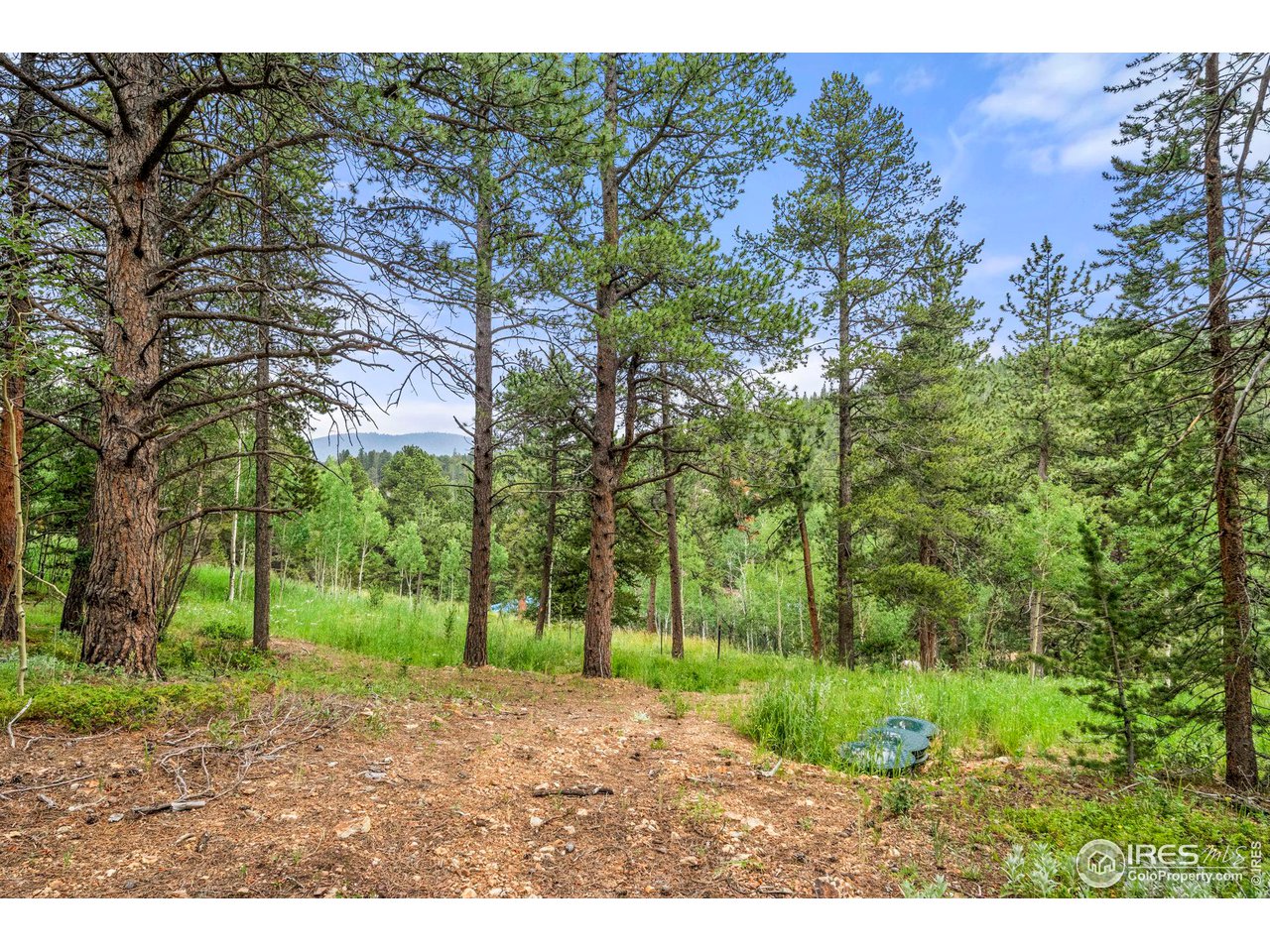0 Upper Travis Gulch Road Black Hawk, CO 80422 - Photo 6 of 23 Gallery Image 6