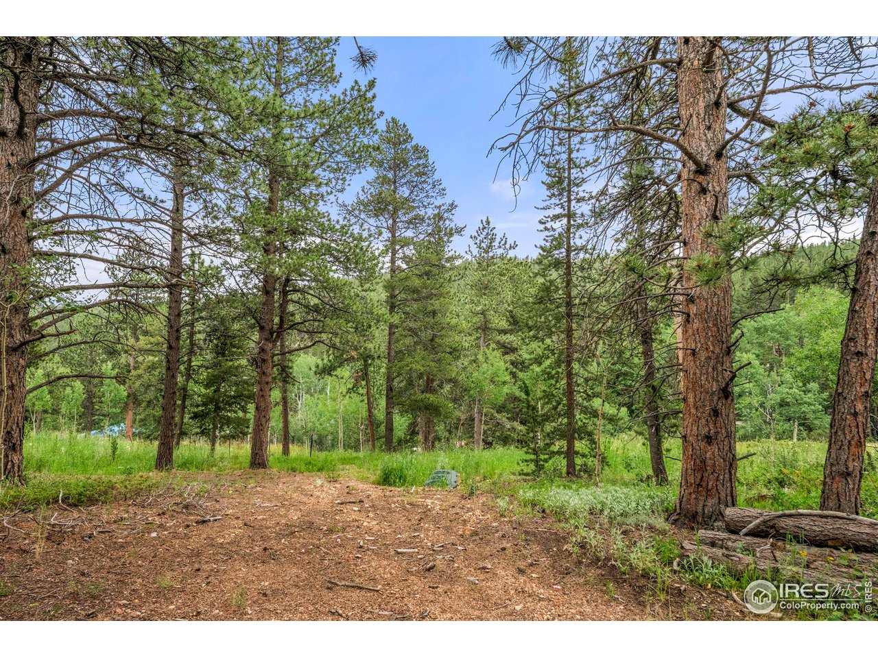 0 Upper Travis Gulch Road Black Hawk, CO 80422 - Photo 7 of 23 Gallery Image 7