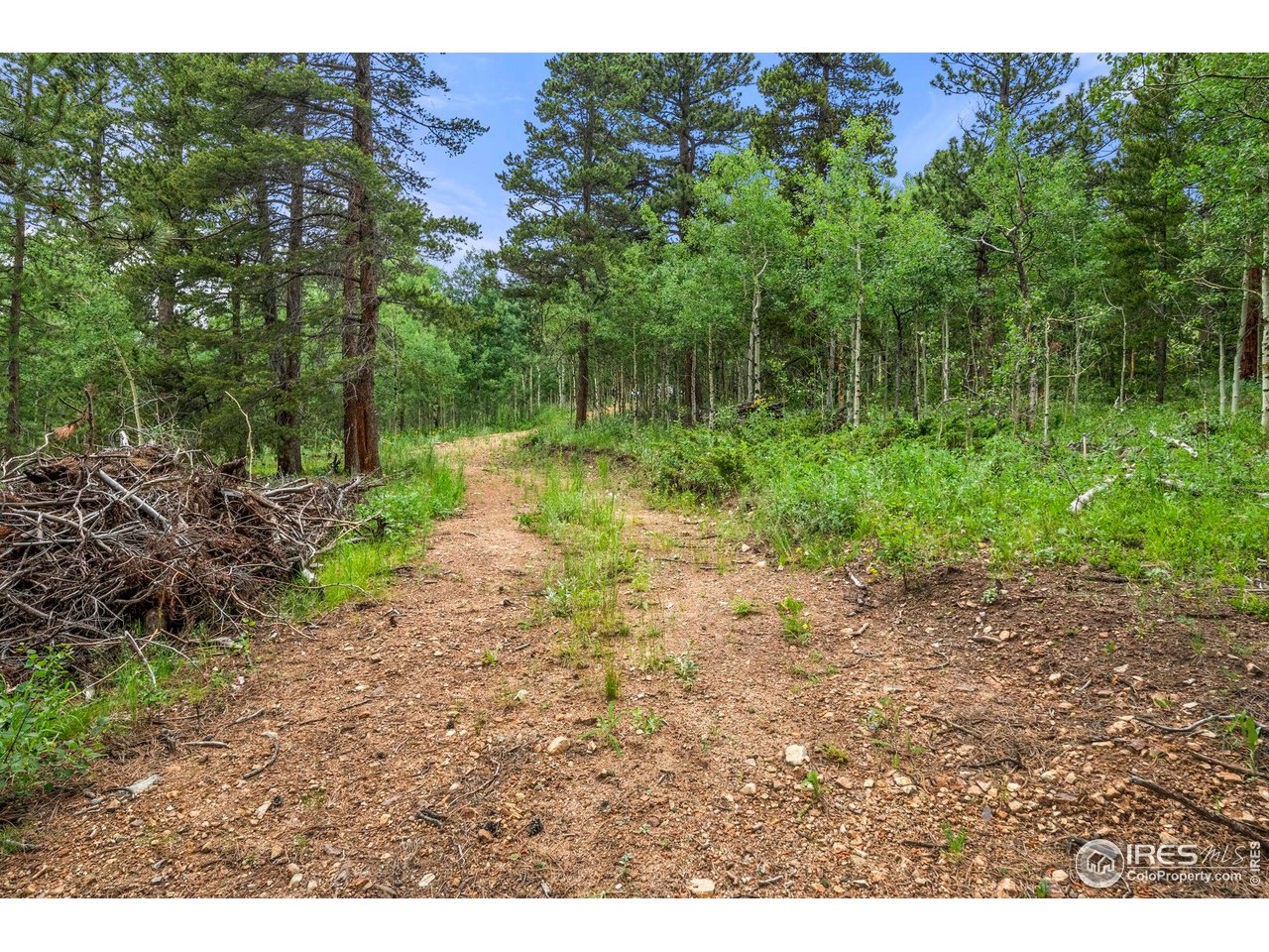 0 Upper Travis Gulch Road Black Hawk, CO 80422 - Photo 8 of 23 Gallery Image 8