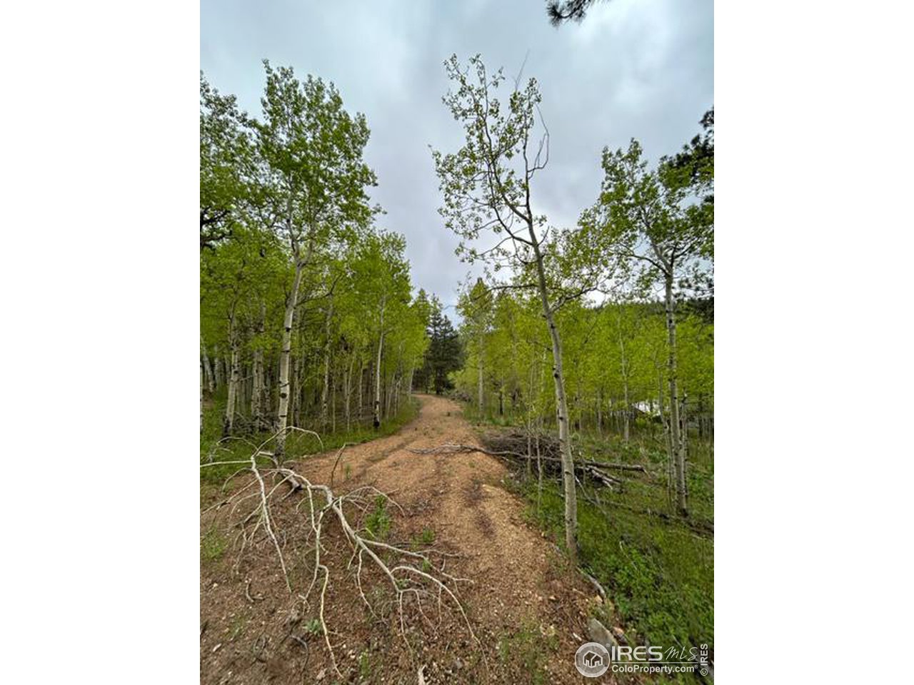 0 Upper Travis Gulch Road Black Hawk, CO 80422 - Photo 9 of 23 Gallery Image 9