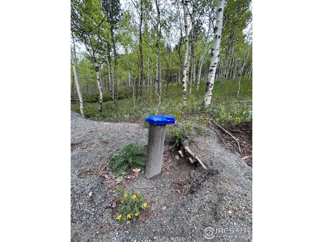 0 Upper Travis Gulch Road Black Hawk, CO 80422 - Photo 10 of 23 Gallery Image 10