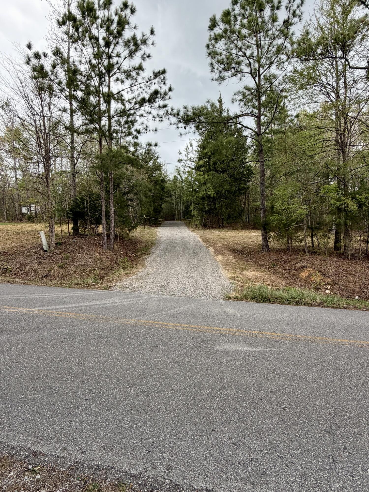 1390 Sneed Road Decatur, TN 37322 - Photo 2 of 9