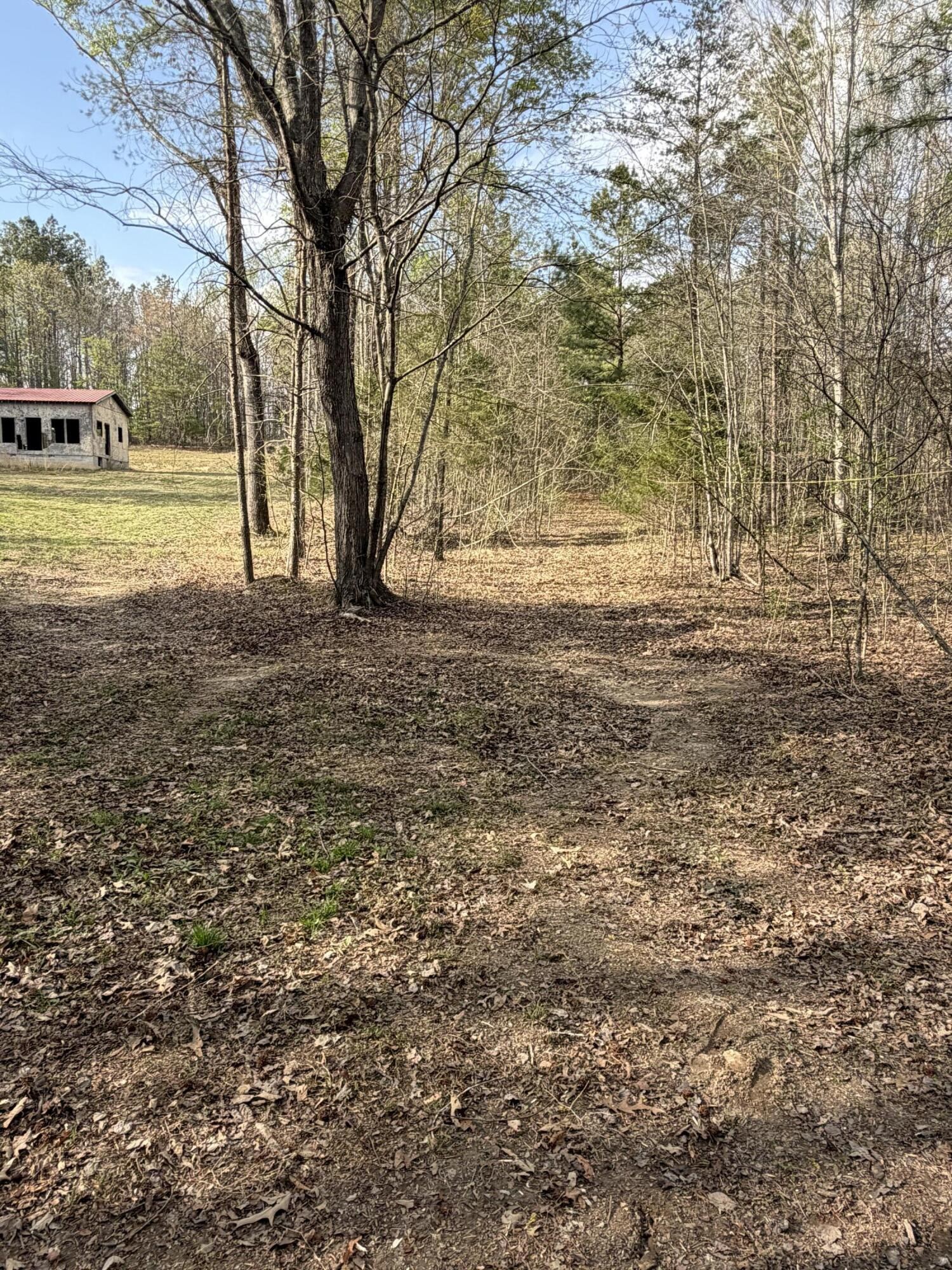 1390 Sneed Road Decatur, TN 37322 - Photo 5 of 9