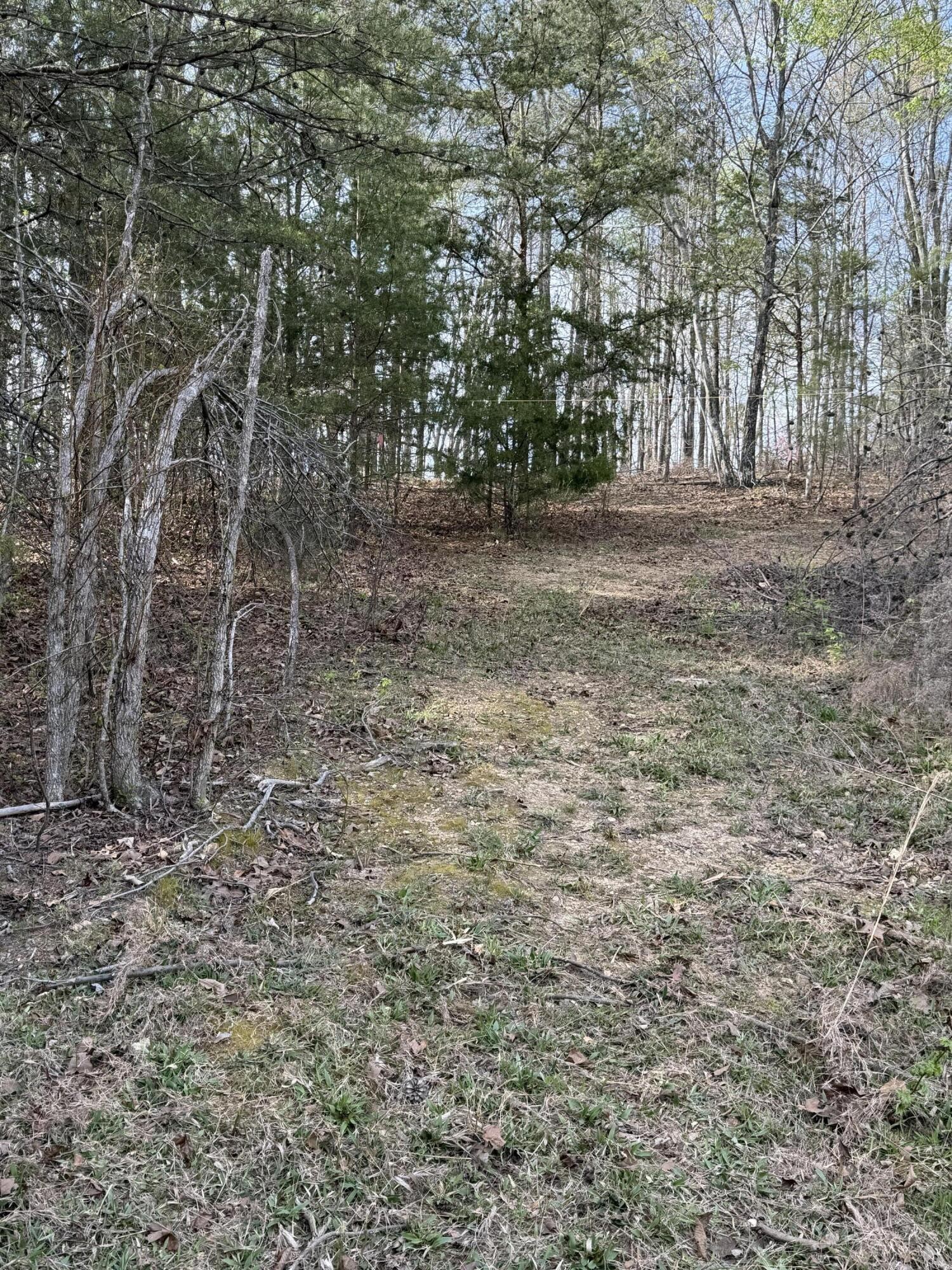 1390 Sneed Road Decatur, TN 37322 - Photo 9 of 9