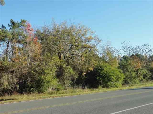 907 Sandbed Road Newton, AL 36352 - Photo 1 of 3