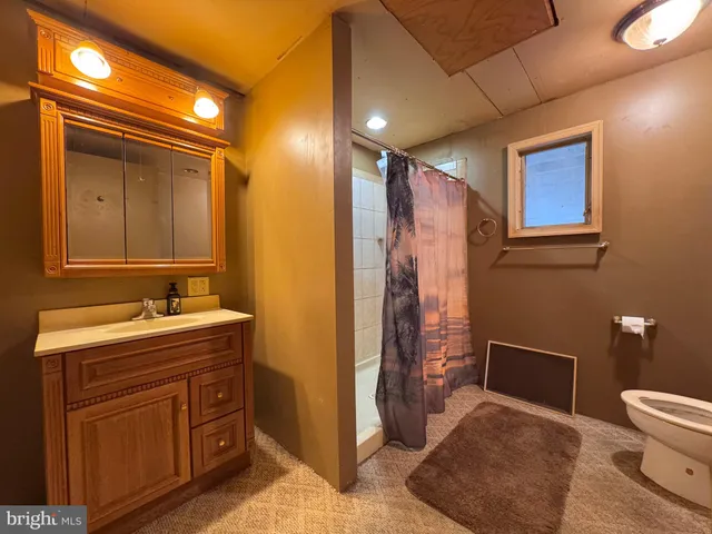 a bathroom with a sink a toilet and shower