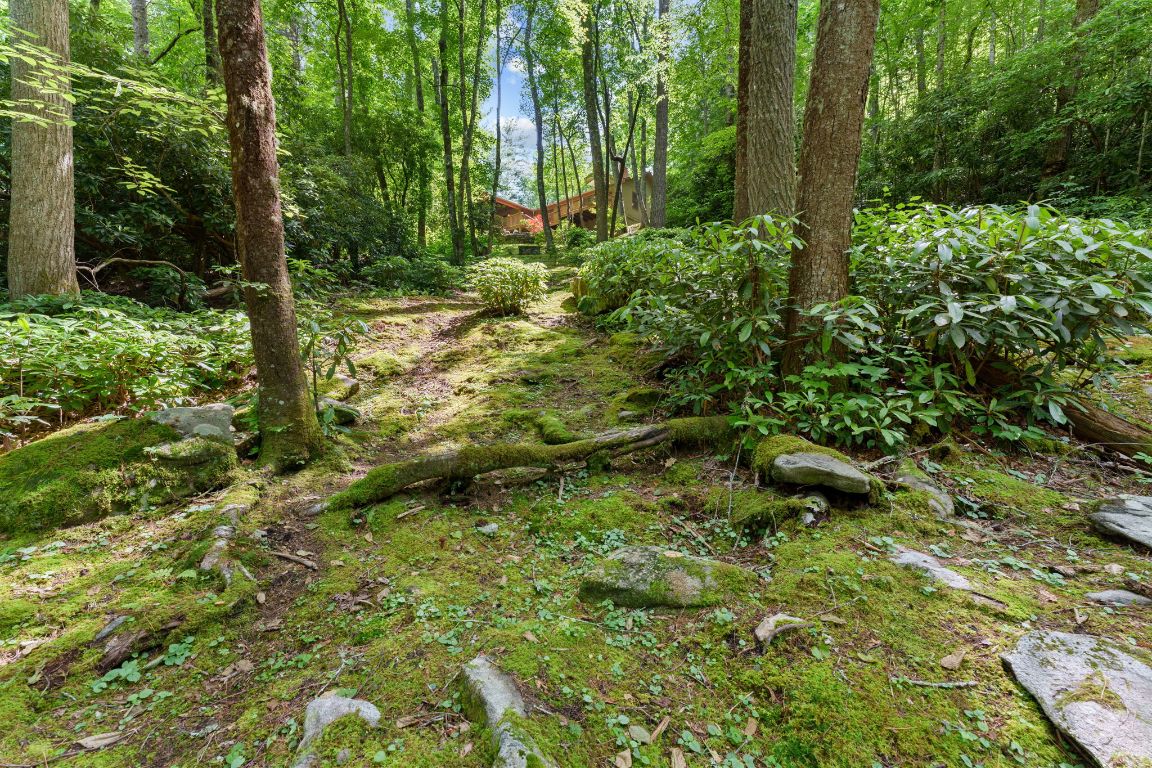 293 Gem Creek Road Cullowhee, NC 28723 - Photo 41 of 48 Gallery Image 41