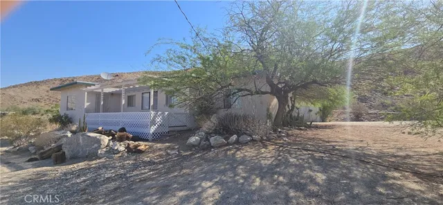 a view of a yard with plants and trees
