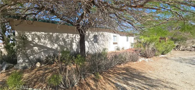 a view of a yard with plants and trees