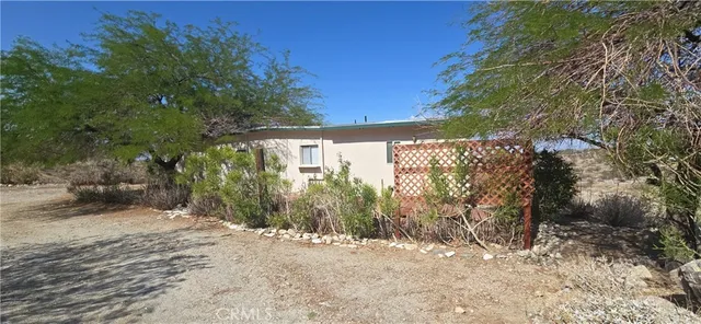 a view of a yard with plants and trees