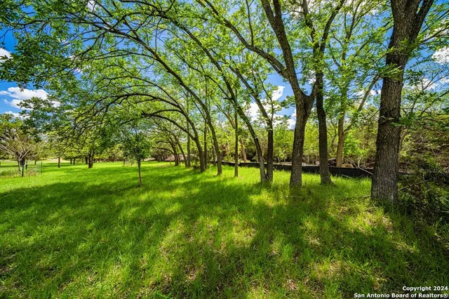 a view of yard with green space
