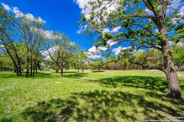 a view of a yard with swimming pool