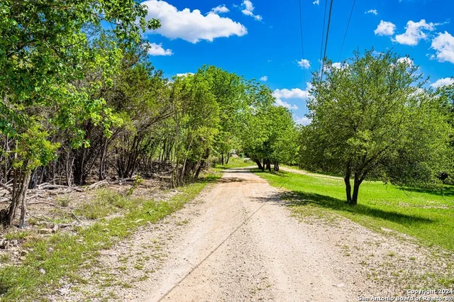 a view of a road with a trees in the background