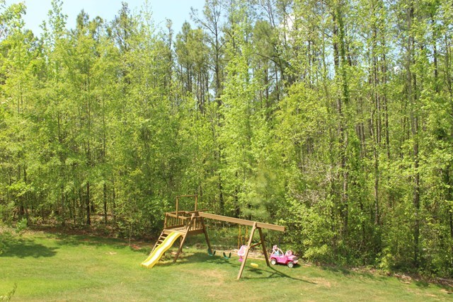 1935 Reedy Creek Road Forsyth, GA 31029 - Photo 13 of 14 a view of a yard with basketball court