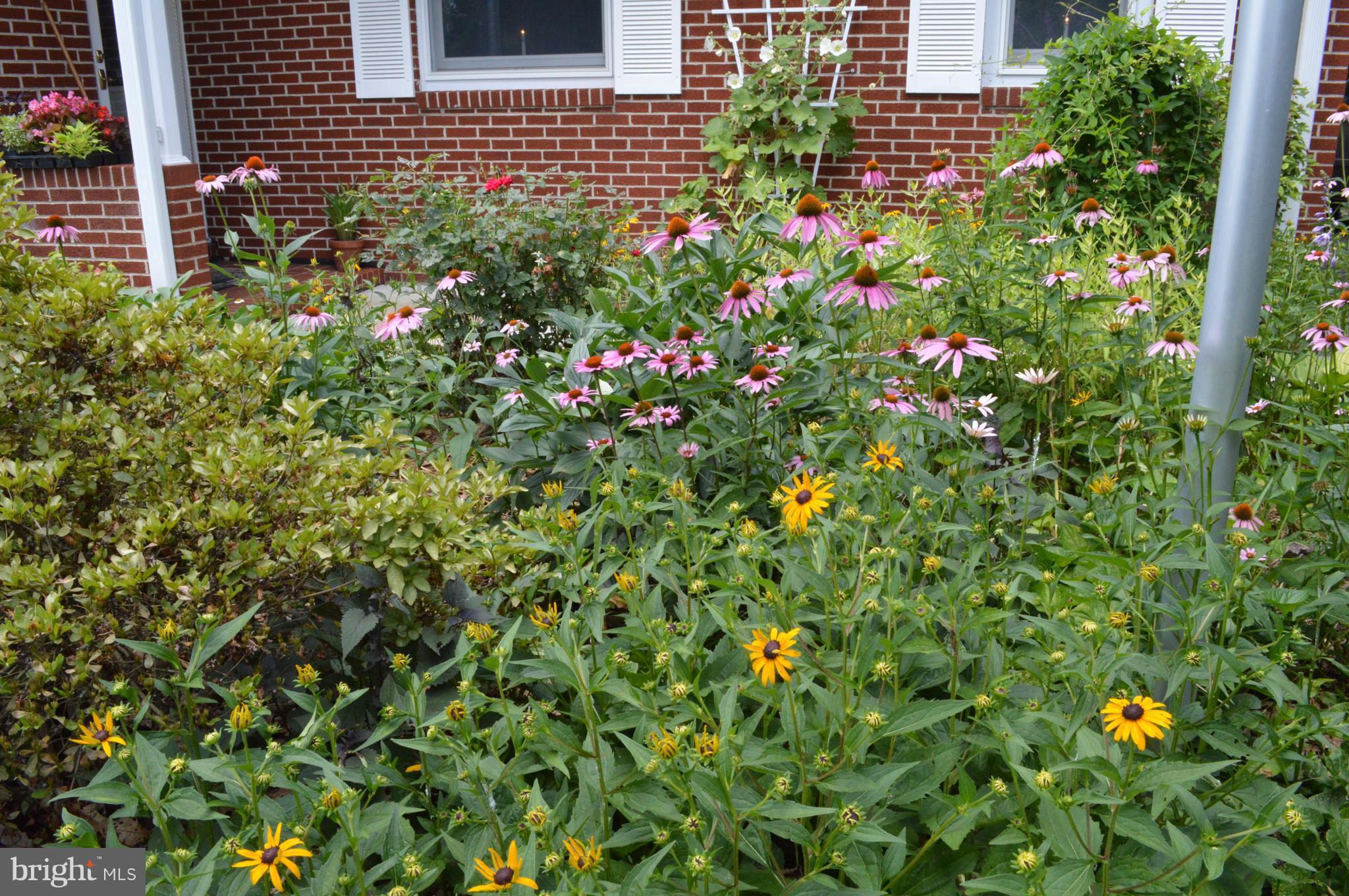 6014 Ridge Road Mount Airy, MD 21771 - Photo 12 of 30 Summer color from a Master Gardner!
