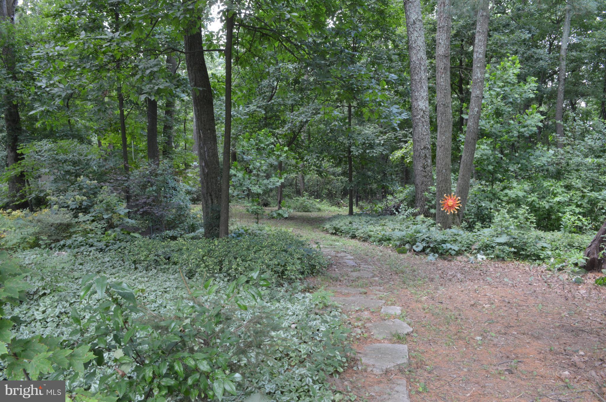 6014 Ridge Road Mount Airy, MD 21771 - Photo 10 of 30 Trails