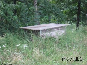 1547 Riser Ridge Road Walker, WV 26180 - Photo 5 of 12