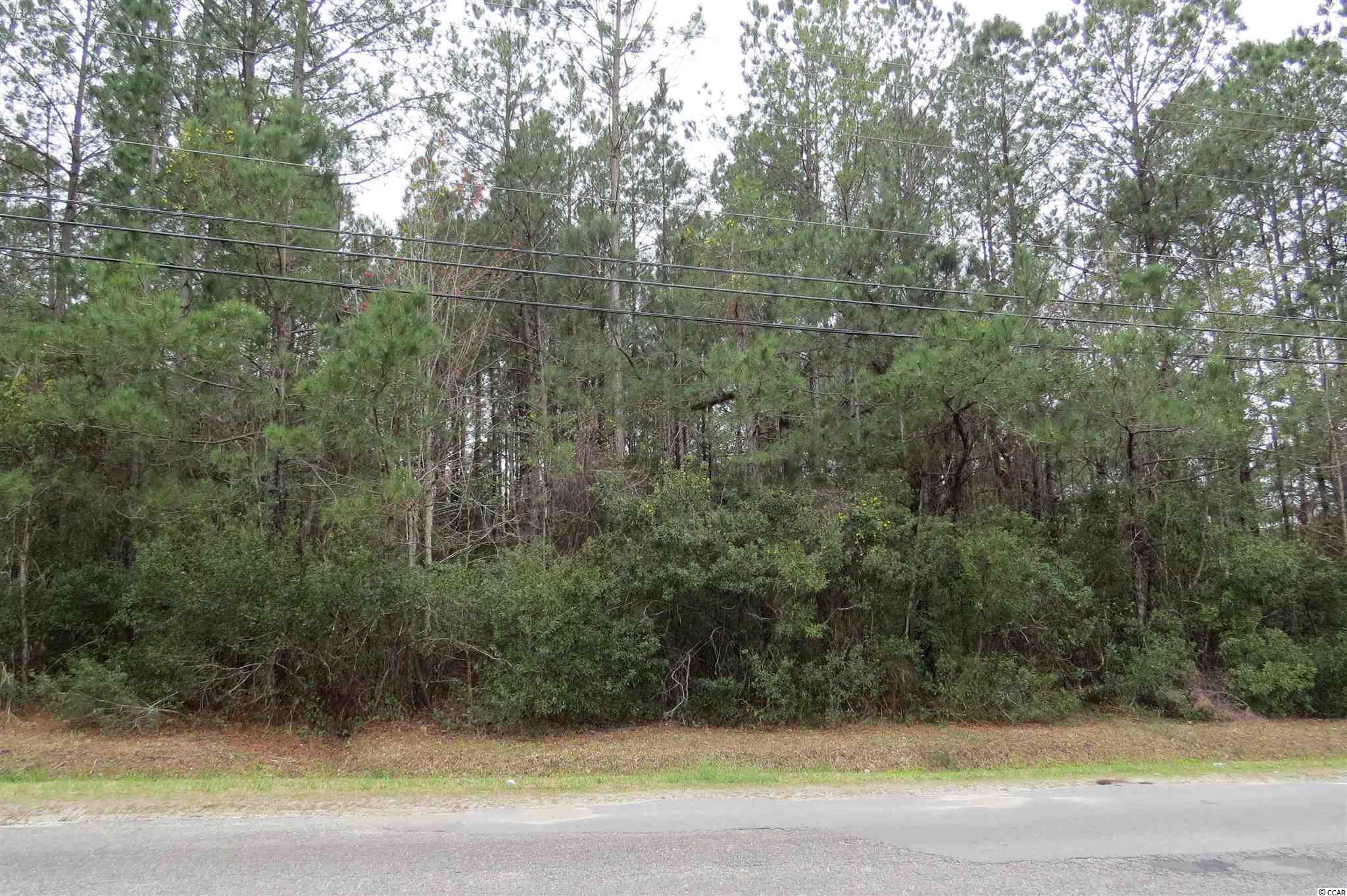 Tbd Creel Street Conway, SC 29527 - Photo 1 of 3 Gallery Image 1