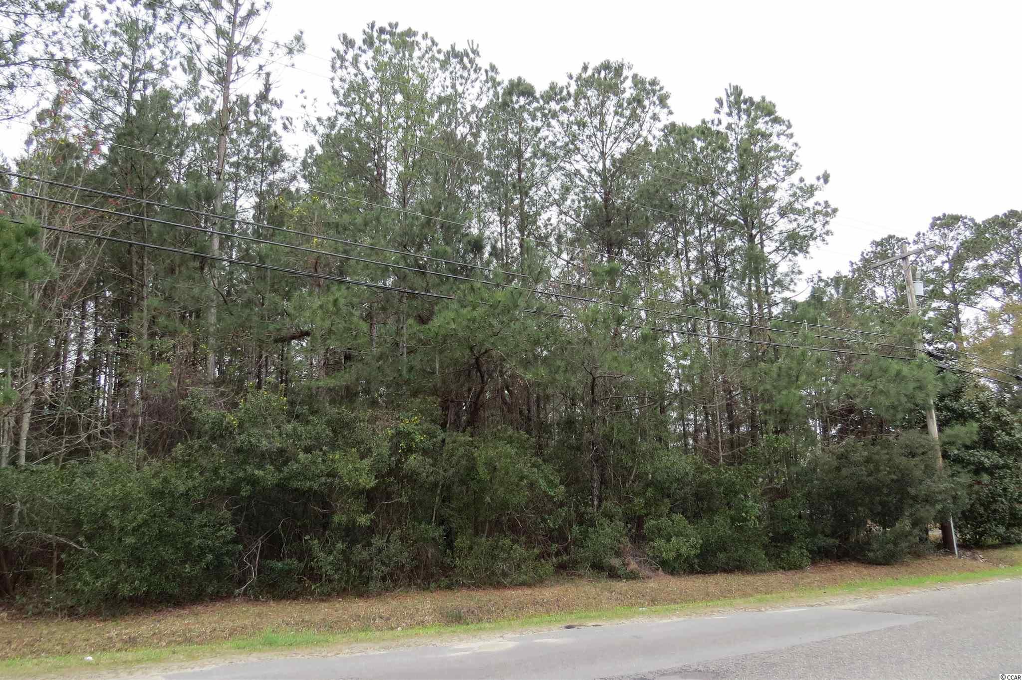 Tbd Creel Street Conway, SC 29527 - Photo 2 of 3 Gallery Image 2