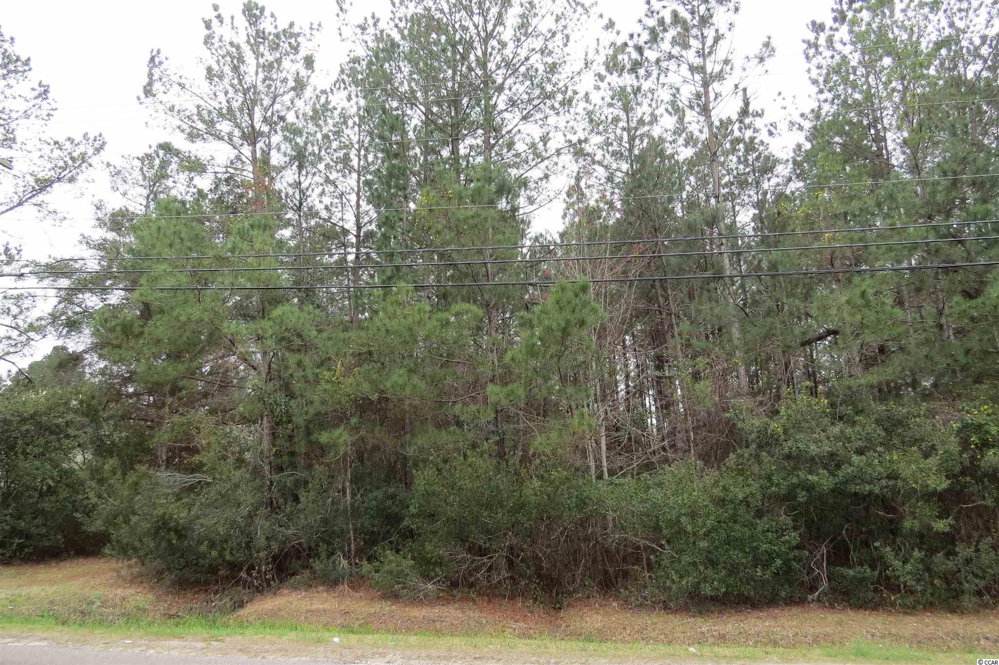 Tbd Creel Street Conway, SC 29527 - Photo 3 of 3 Gallery Image 3