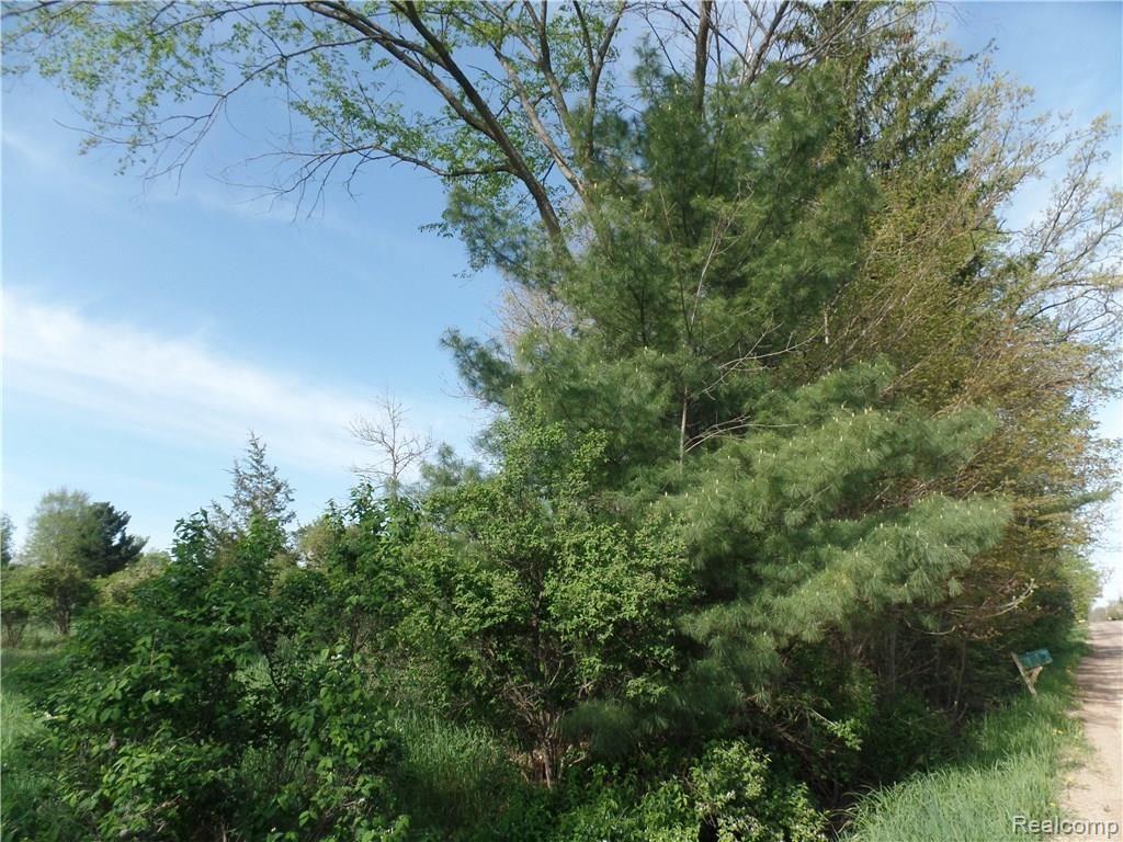 Vl Faussett Road Fenton, MI 48430 - Photo 4 of 4