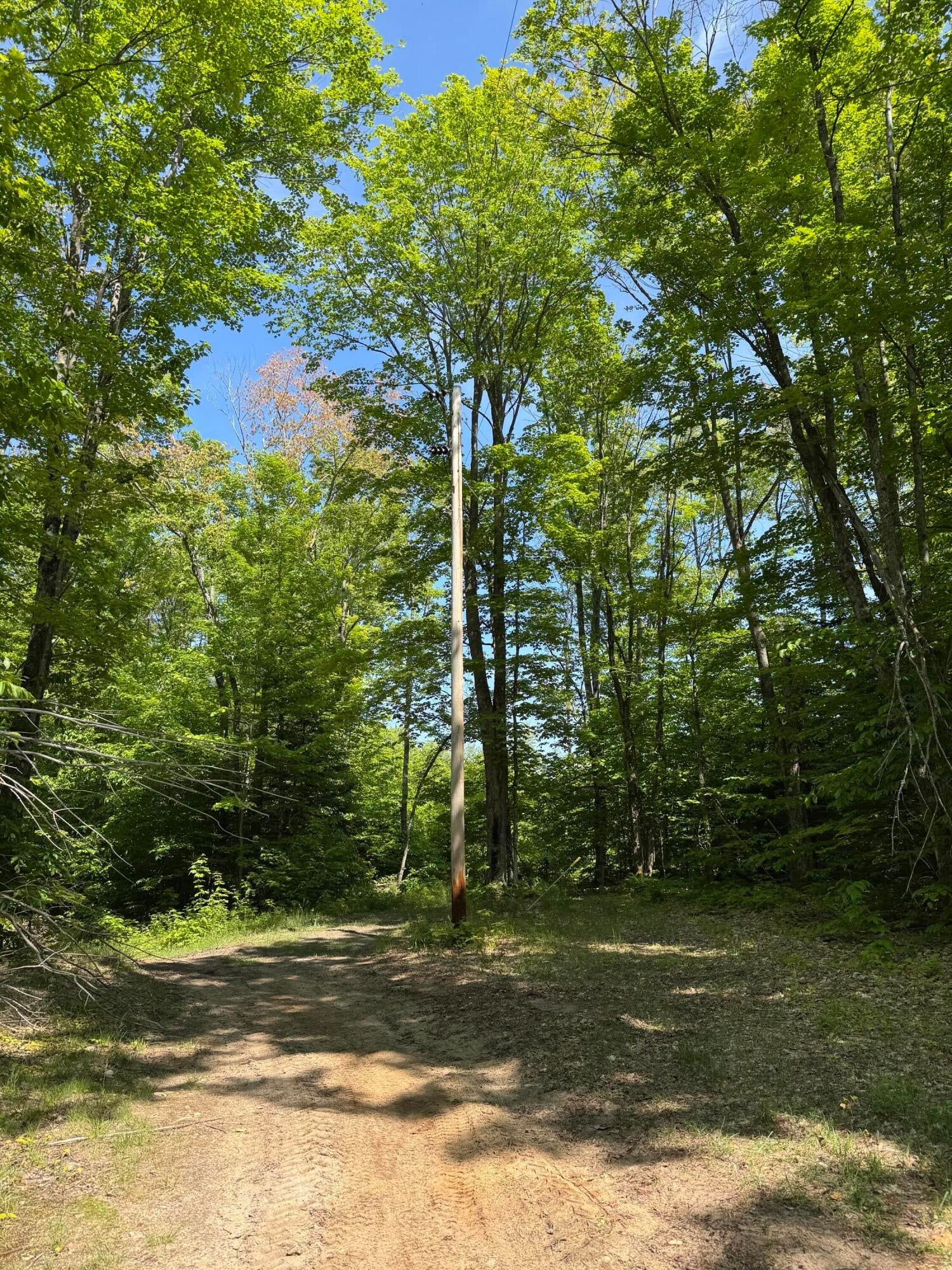 Tbd South Piatt Lake Road Eckerman, MI 49728 - Photo 21 of 22 Gallery Image 21