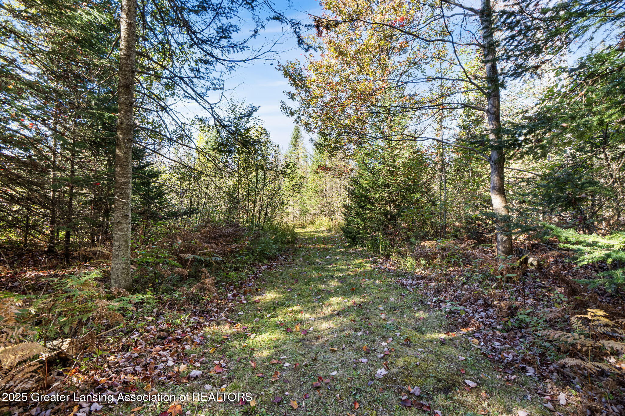 8672 North Manistee River Road Gaylord, MI 49735 - Photo 9 of 10 25-web-or-mls-DSC04561