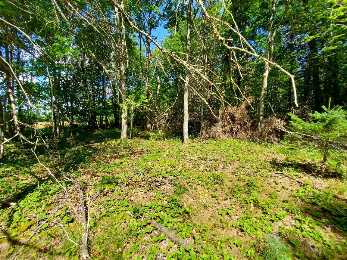 0 Front Ridge Road, Unit 39B Orland, ME 04472 - Photo 18 of 40 20230827_132133_resized_1