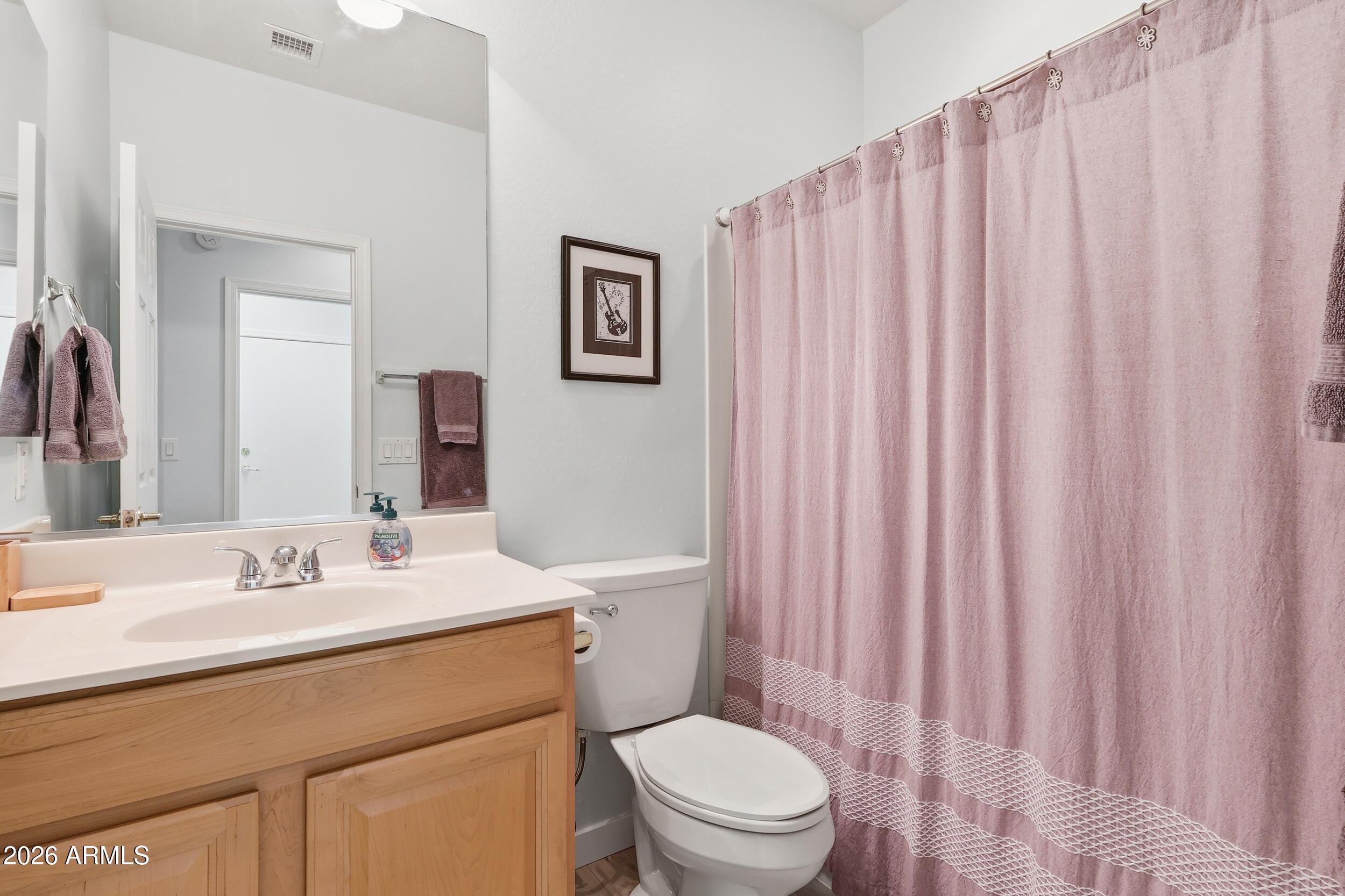 20357 North Lemon Drop Drive Maricopa, AZ 85138 - Photo 21 of 39 a bathroom with a sink a toilet and shower curtain