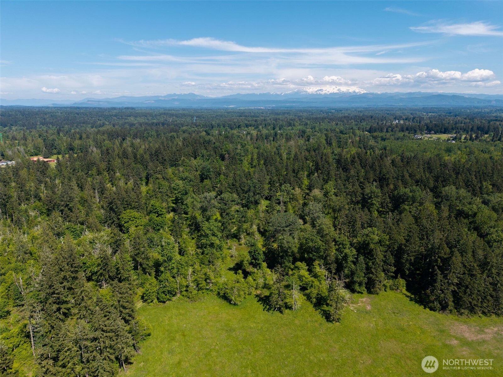 1716 304th Street East Roy, WA 98580 - Photo 5 of 21 a view of a city with lush green forest