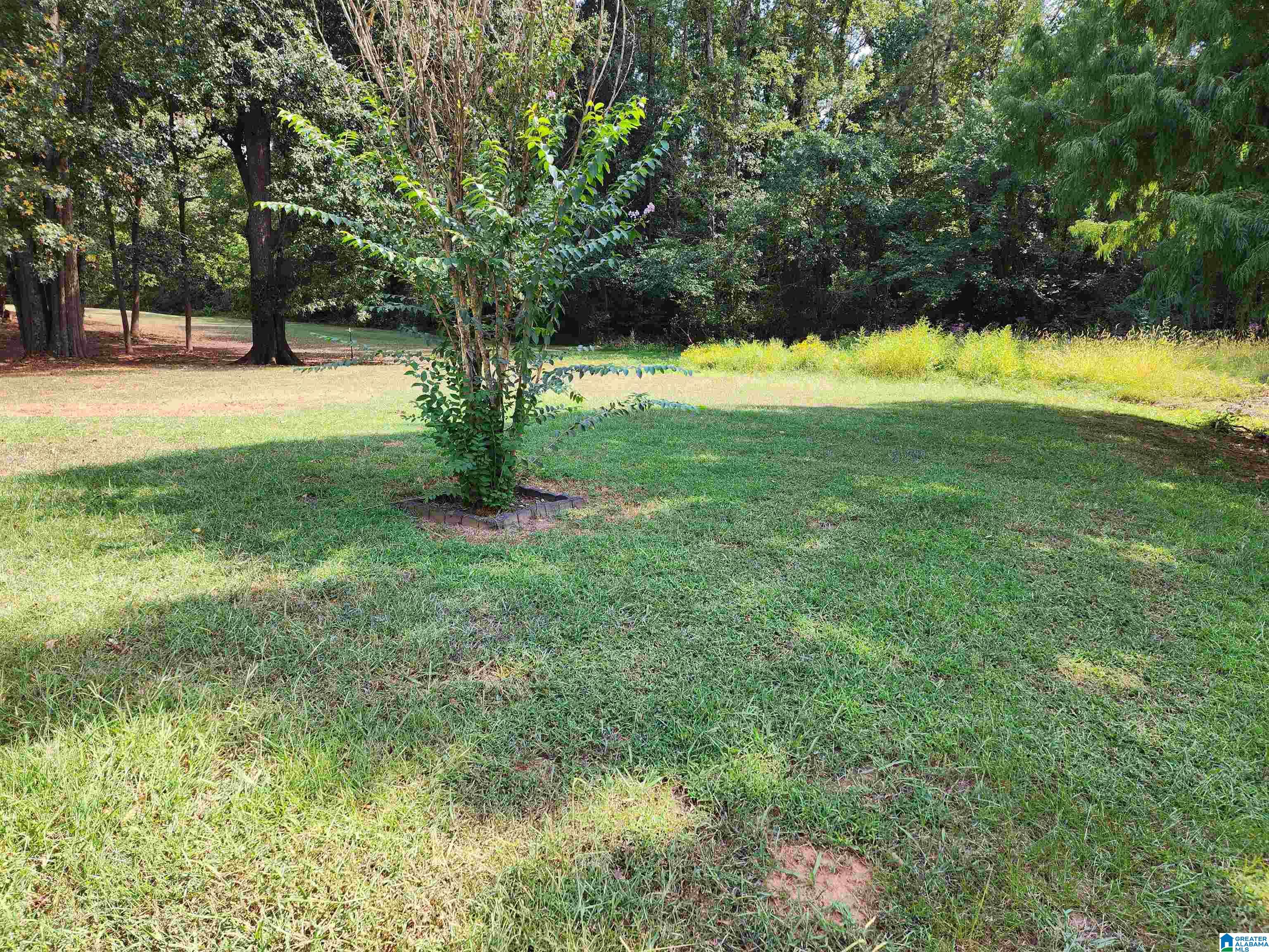 59 Rhodes Road Oxford, AL 36203 - Photo 6 of 26