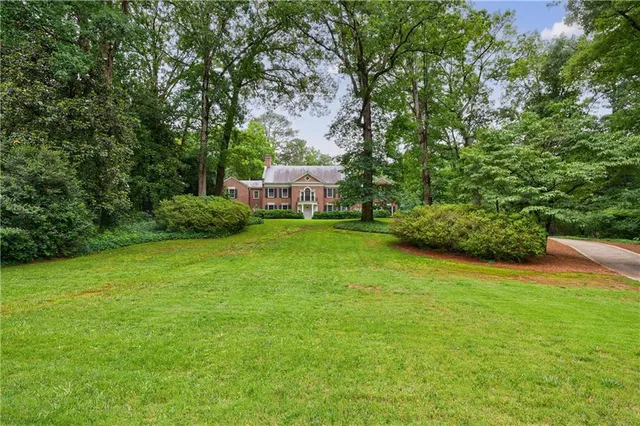 a view of a big yard with plants and large trees