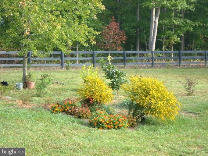 17372 Corder Road Elkwood, VA 22718 - Photo 18 of 25 Exterior #3