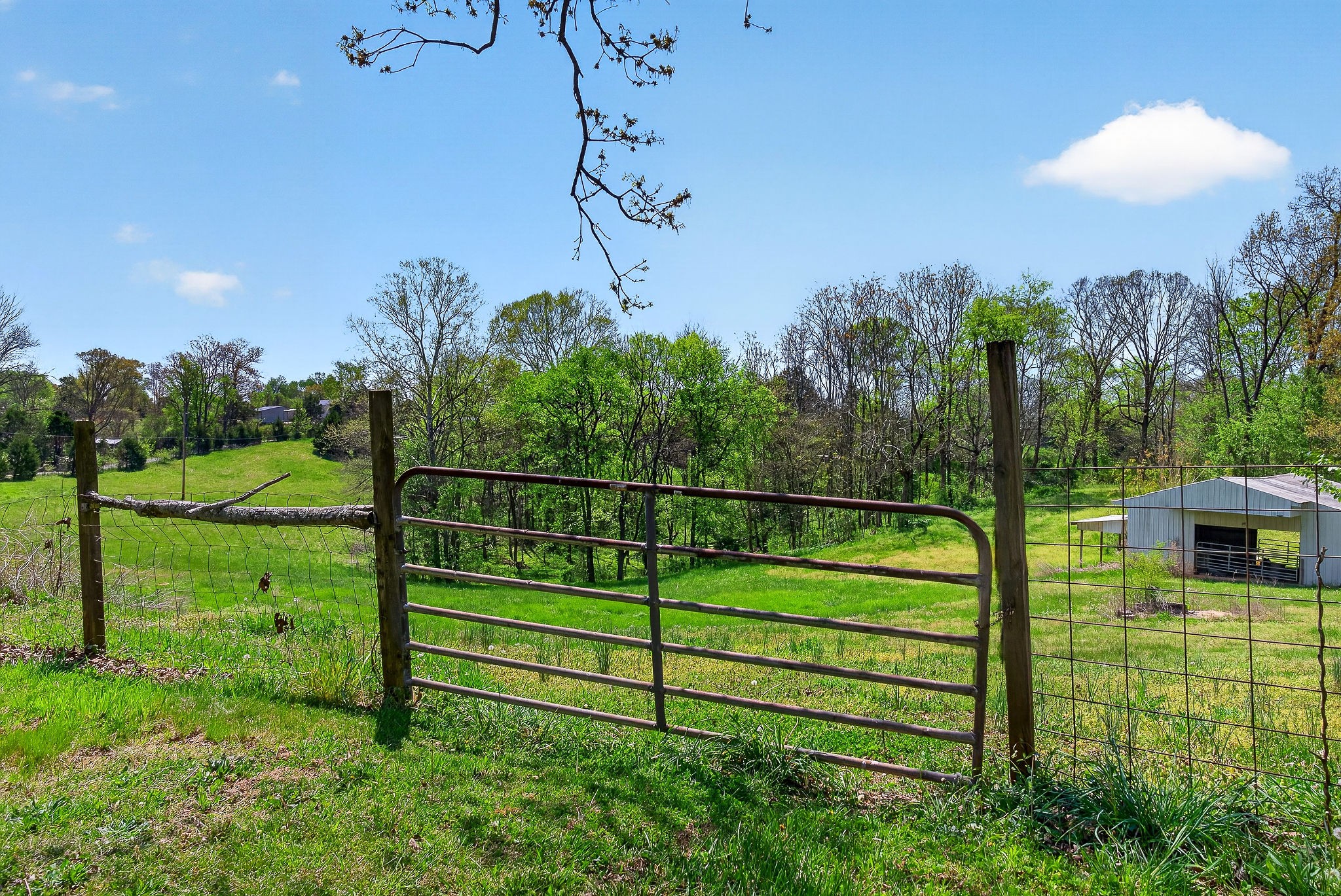 463 Franks Ferry Road Sparta, TN 38583 - Photo 26 of 64