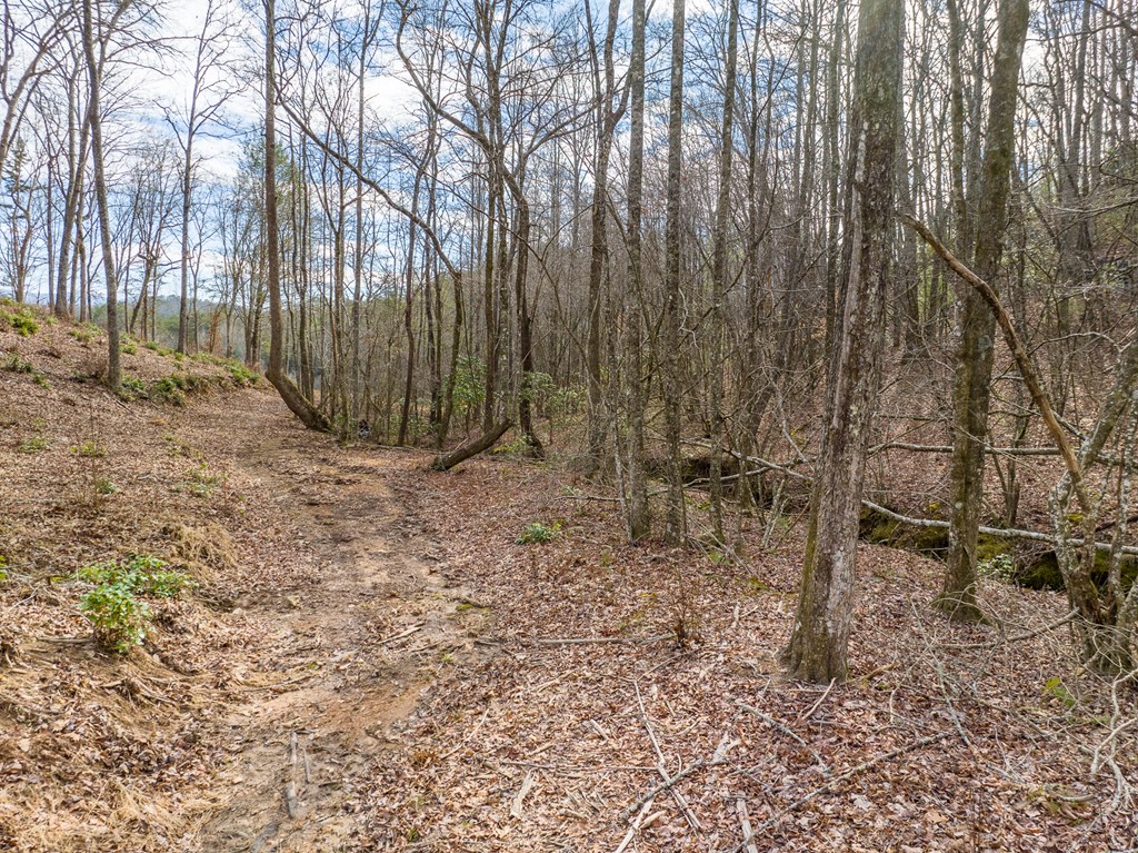 14 Bearden Farm Blue Ridge, GA 30513 - Photo 21 of 23 Gallery Image 21