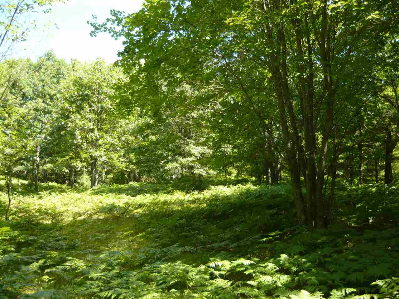 10312 East 30 Road Cadillac, MI 49601 - Photo 37 of 37 1821470-36.JPG