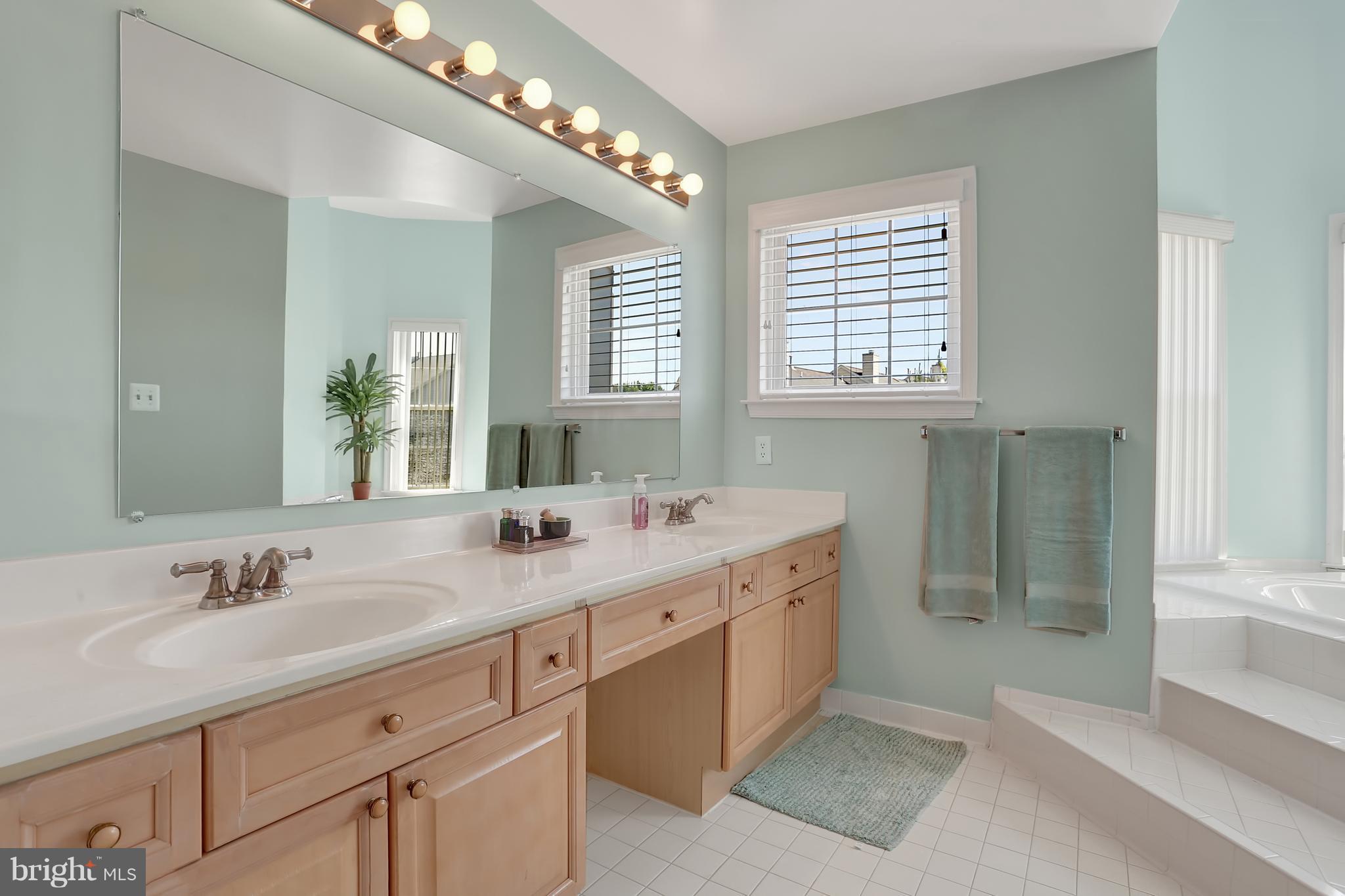 20693 Riptide Square Sterling, VA 20165 - Photo 16 of 30 a bathroom with double vanity sink a mirror and a bathtub